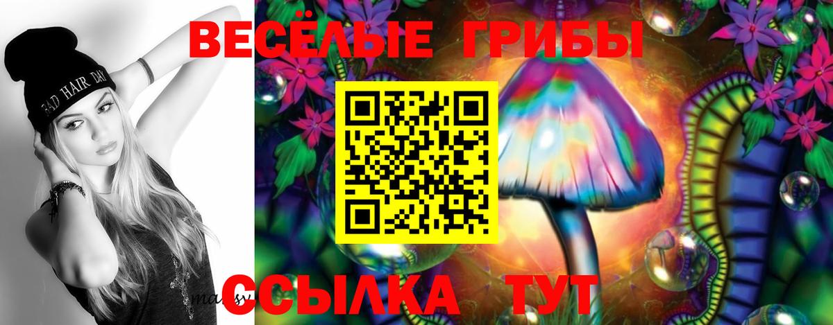 Карасук  Псилоцибиновые грибы мицелий  Вход с VPN 