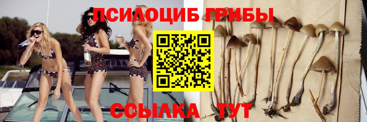 Галлюциногенные грибы мицелий Карасук