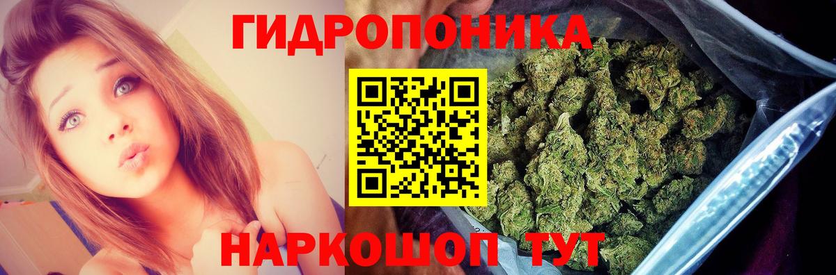 Бошки марихуана семена  Марихуана AK-47  Карасук  Шишки марихуана THC 21%  Вход с VPN 